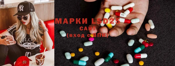 ПСИЛОЦИБИНОВЫЕ ГРИБЫ Алексин