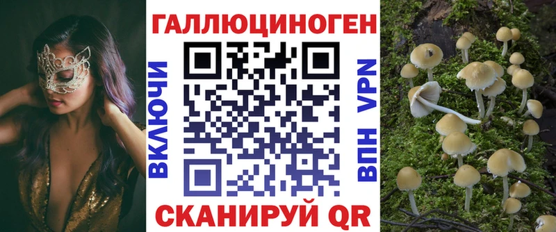 Галлюциногенные грибы Psilocybe  Карабаново 