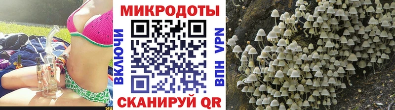 Галлюциногенные грибы Psilocybine cubensis Карабаново